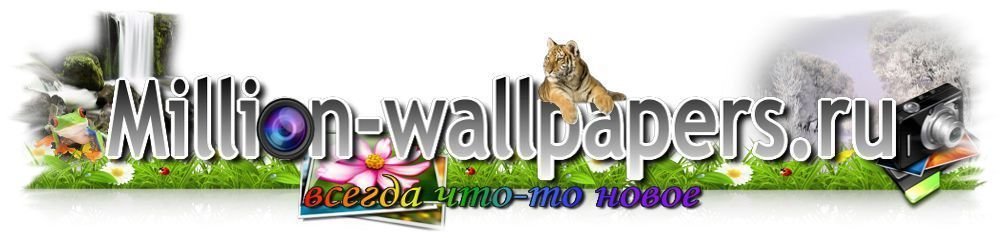 Tapety HD na laptopy i smartfony z million-wallpapers.ru