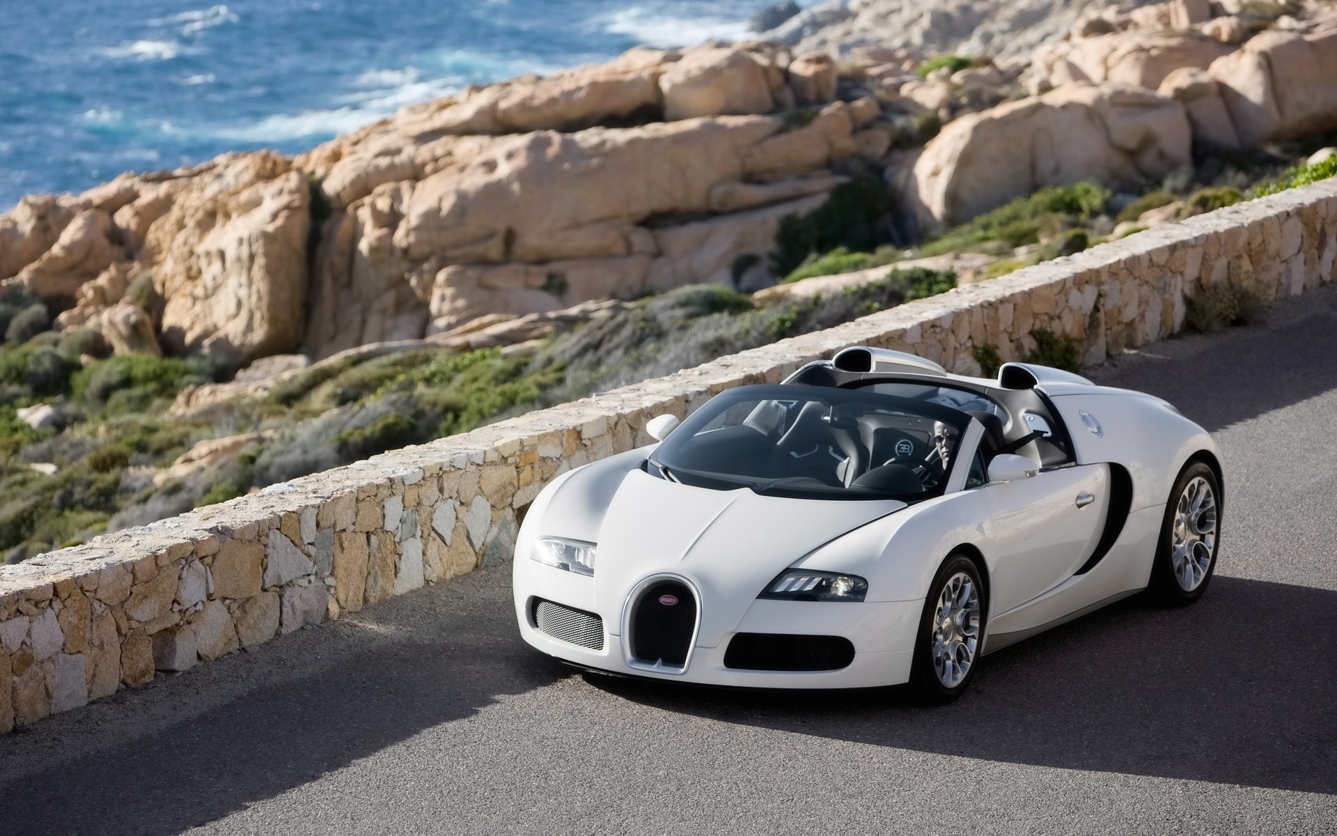 bugatti samochód samochód system transportu pospiesz się bugatti veyron bugatti veyron biały