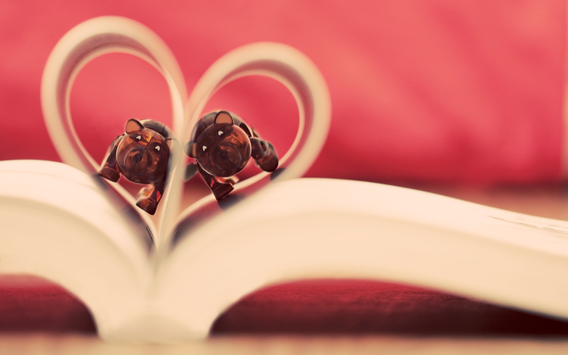 miłość ślub kwiat romans róża martwa natura pić serce