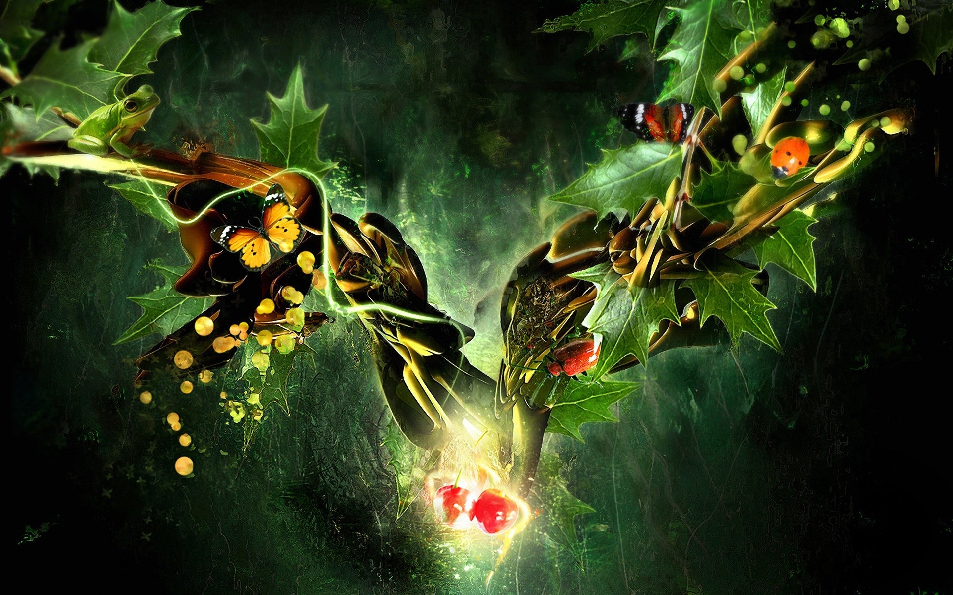abstrakcja natura liść drzewo flora kolor jedzenie owoce rośliny