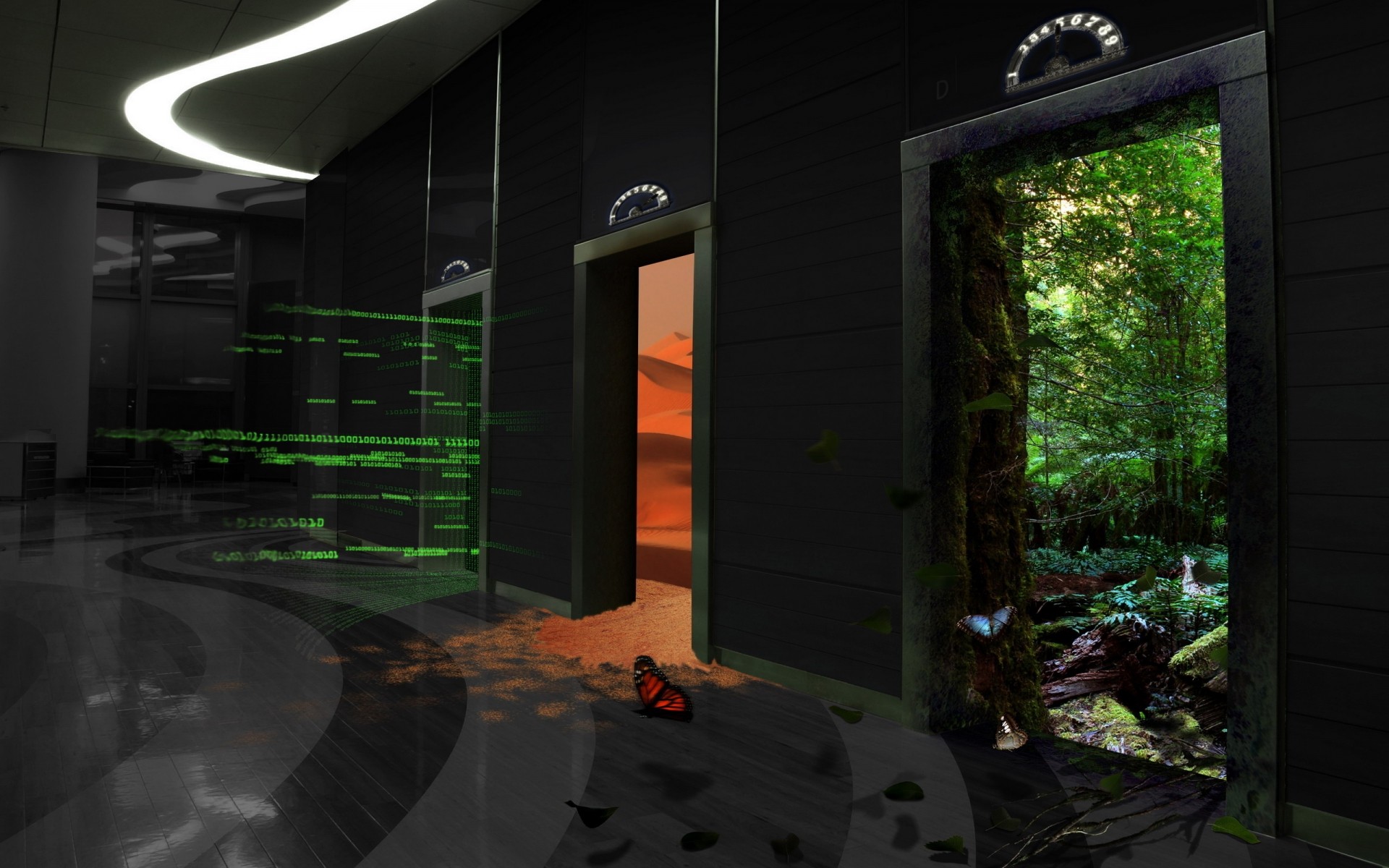 światło krajobraz dom podróże natura sztuka techno motyl tło