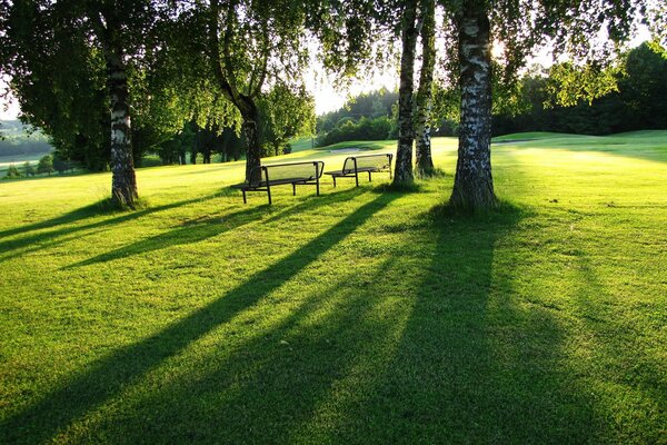 Brzozowy Gaj. letni park z ławkami