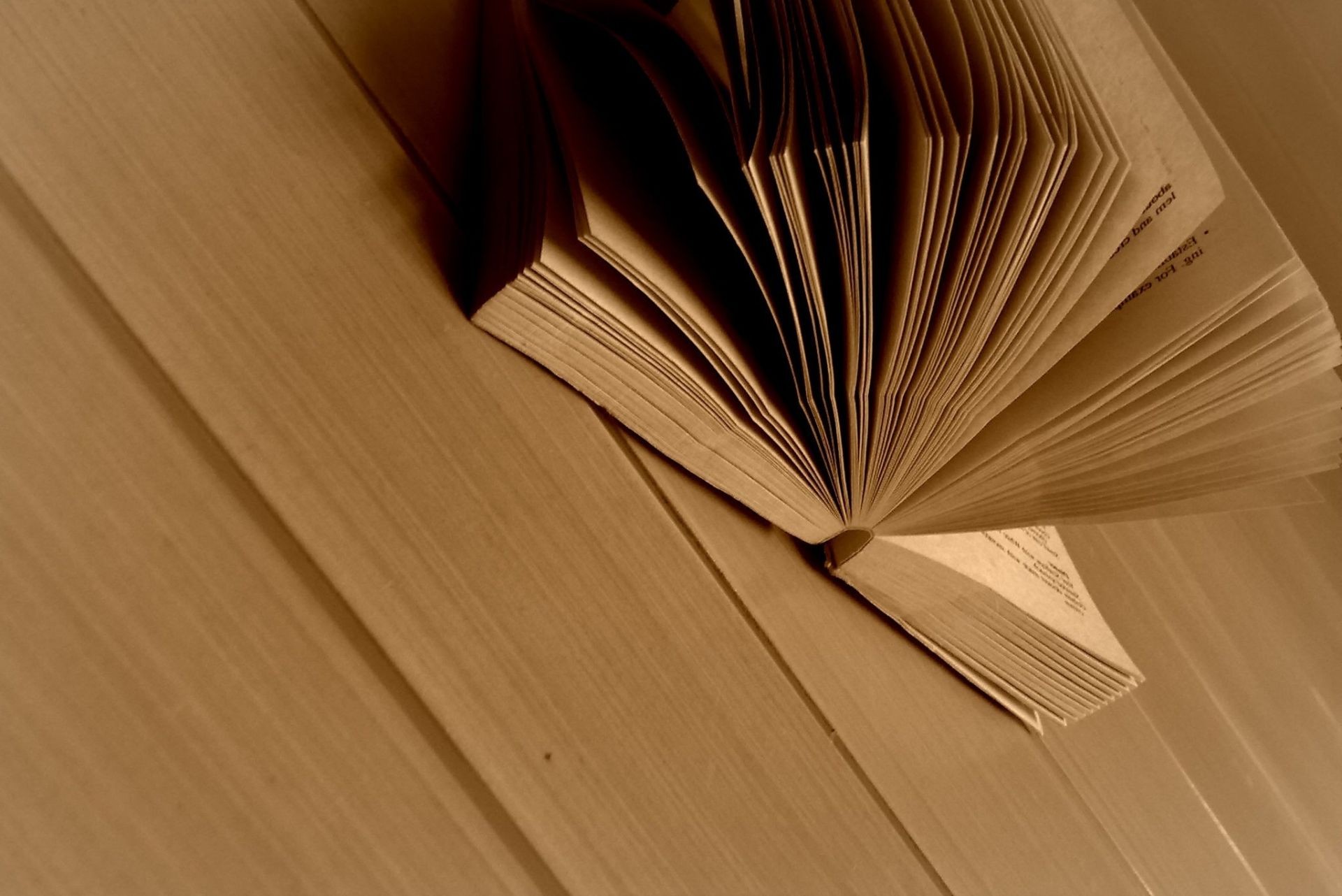 drewno meble literatura biblioteka książka