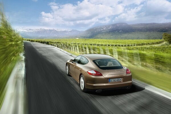 Porsche pędzi po torze na tle natury