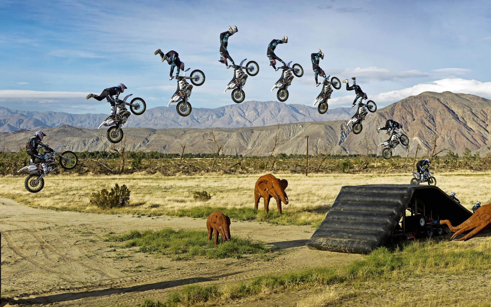 sport trawa natura krajobraz na świeżym powietrzu niebo lato podróży pole wsi wsi dżungli słoń zabawki posągi motocykl