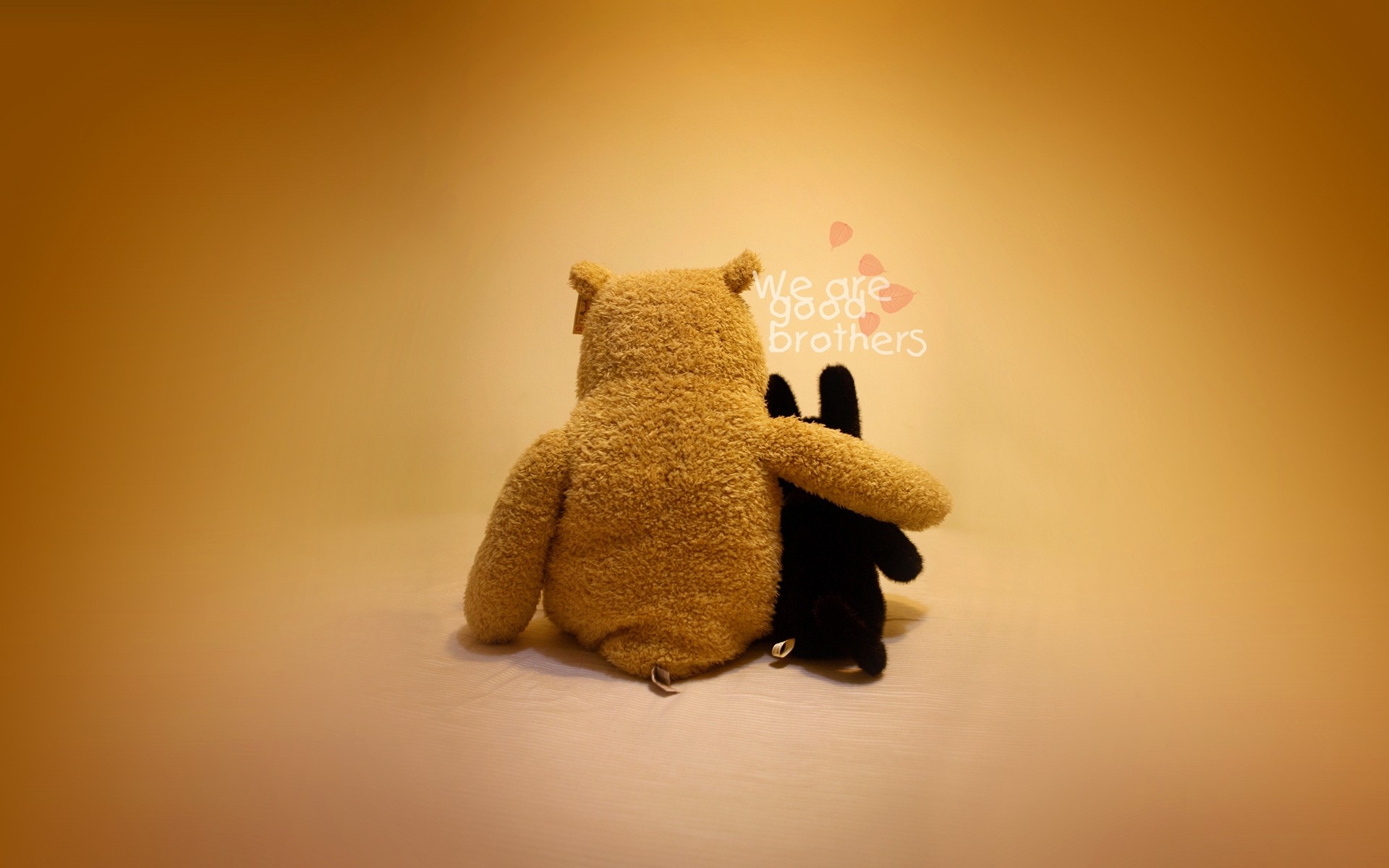 sam rozmycie martwa natura