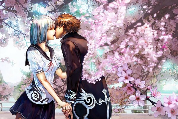 Cherry kiss kwitnąca Sakura pocałunek para kochanków