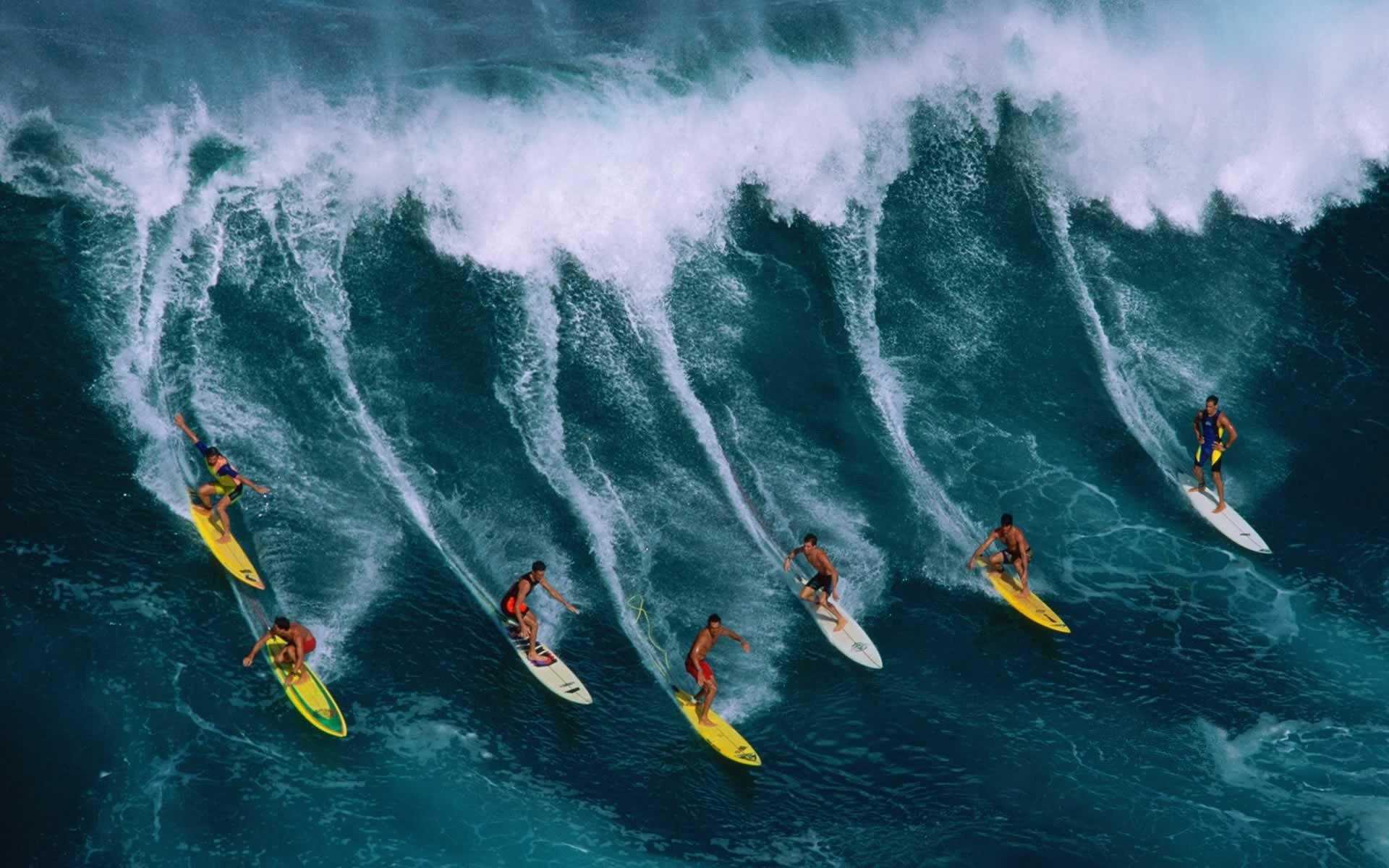 streszczenie sporty wodne akcja woda surf rekreacja ocean podniecenie morze przygoda rekreacja przyjemność ruch sport fala chłopaki rekiny