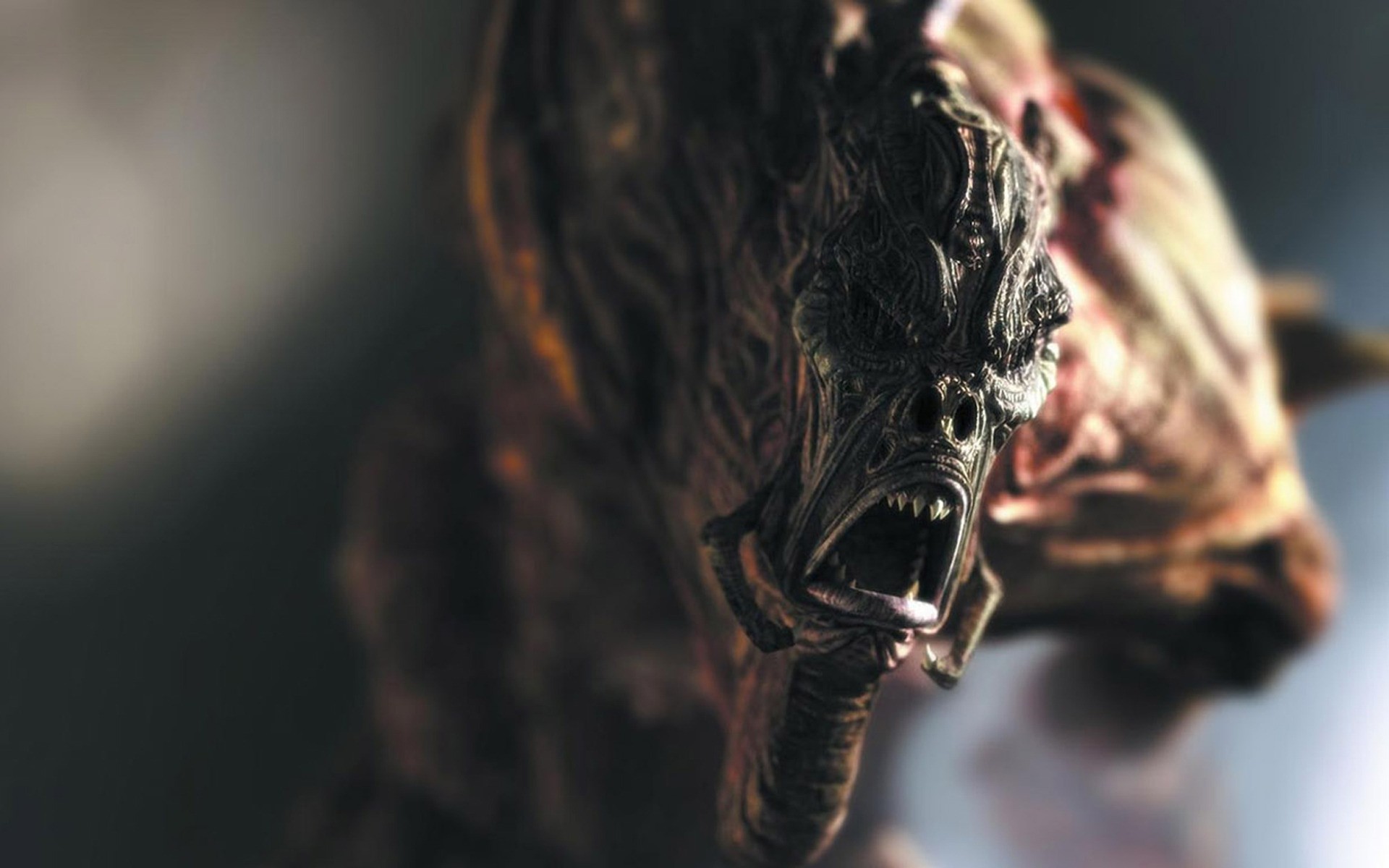 other games natura portret jeden zwierzę twarz ptak przyroda rozmycie niebezpieczeństwo horror potwór akcja bitwa