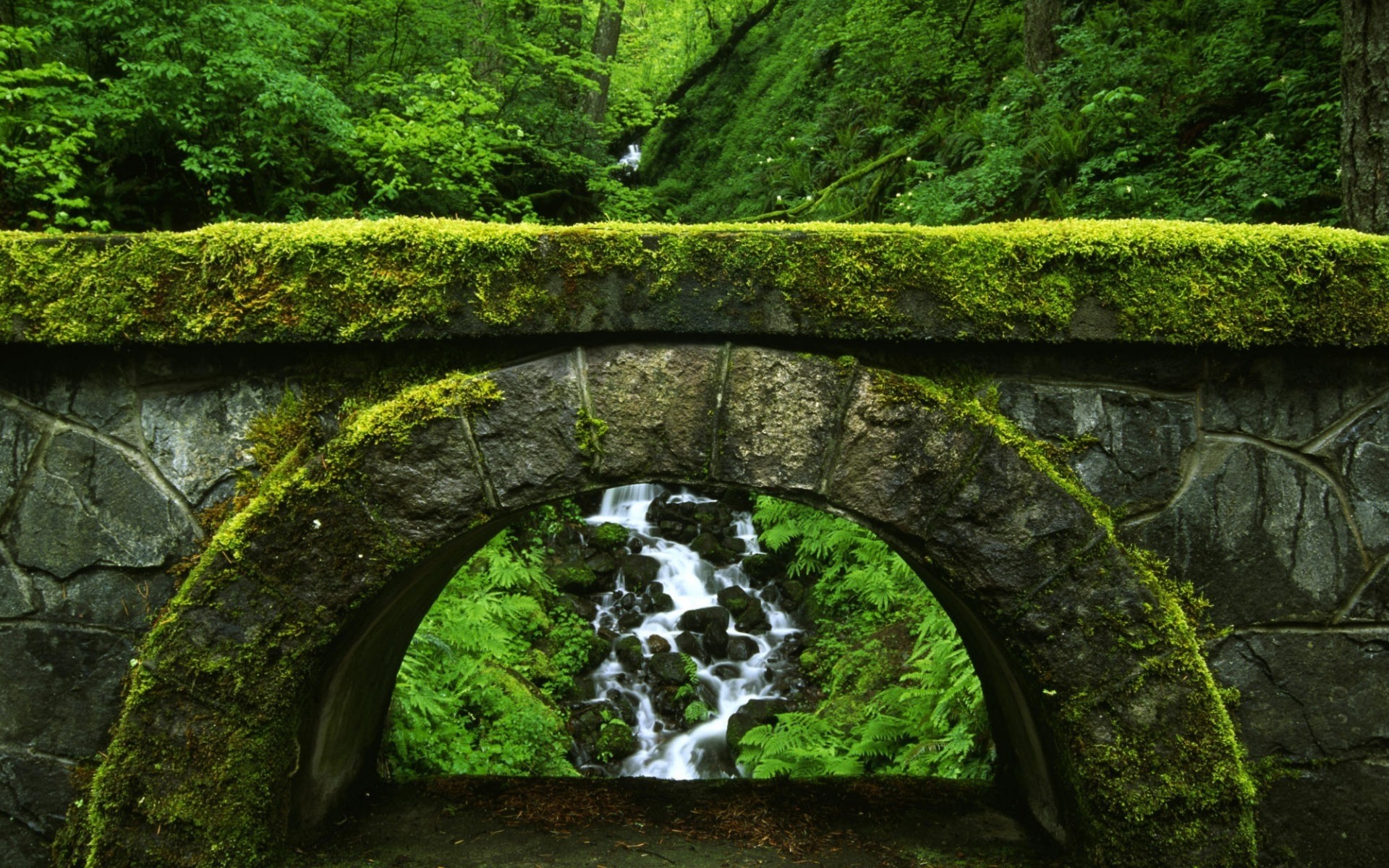 krajobrazy woda podróż krajobraz mech liść sceniczny kamień środowisko natura drewno rzeka na zewnątrz drzewo park światło dzienne tło trawa most