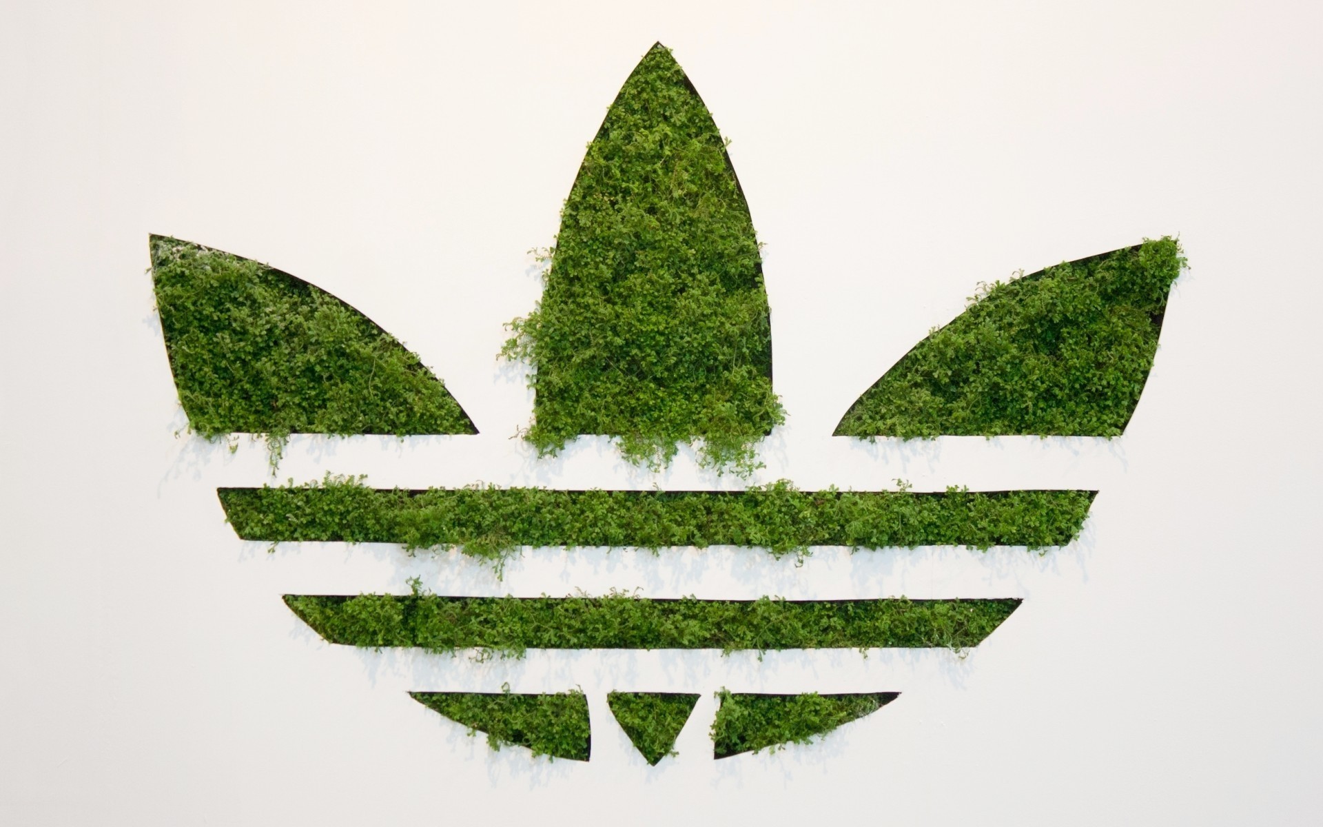 drzewo natura liść trawa flora pulpit symbol zielone logo eko adidas marka adidas