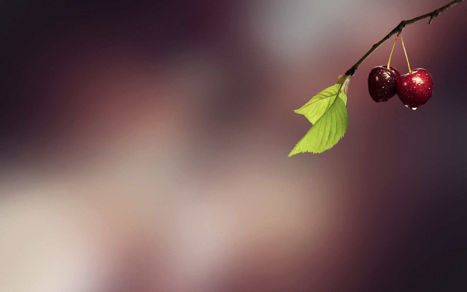 rozmycie natura liść streszczenie sztuka wiśnie owoce