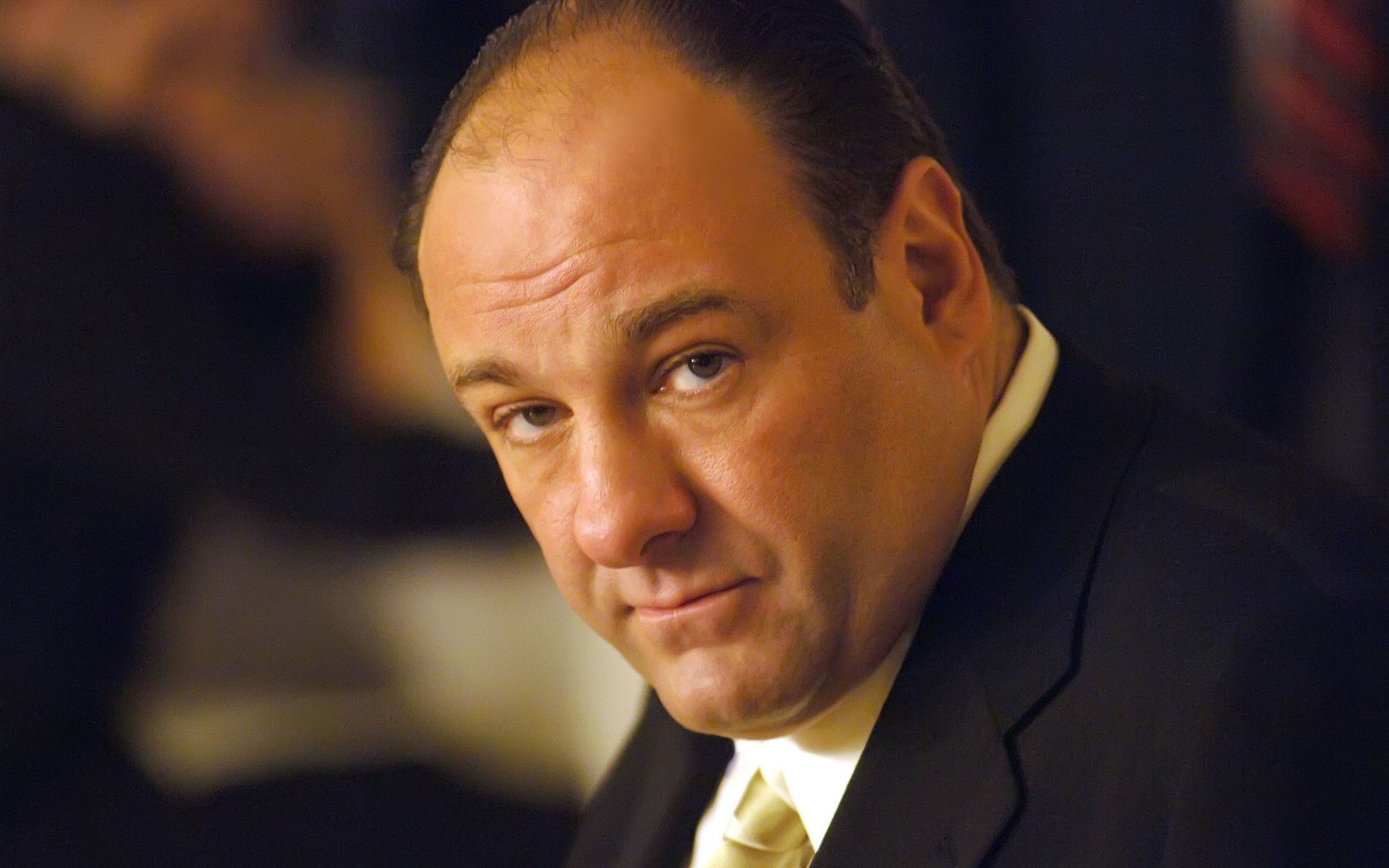 mężczyźni biznes portret lider człowiek jeden polityk strój dorosły nosić administracja james gandolfini