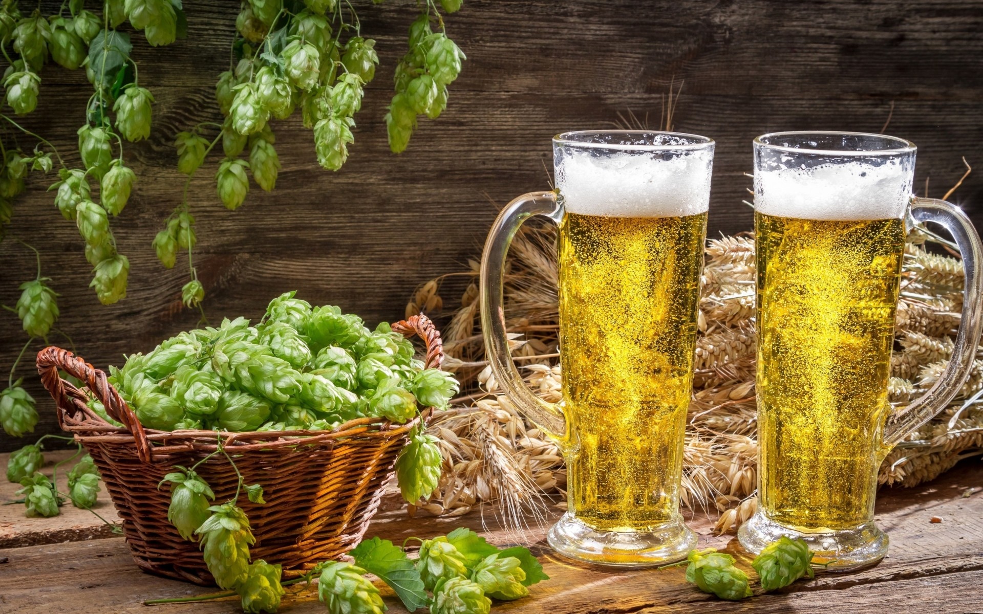 piwo browar szklany lager alkohol piana pub półlitra moonshine hop orzeźwienie ale kubek gorzki bar zimny pełny mroźny kosz imprezowy