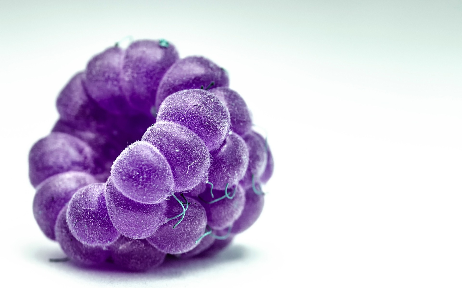 natura pulpit zbliżenie kolor flora na białym tle malina makro owoce jagoda