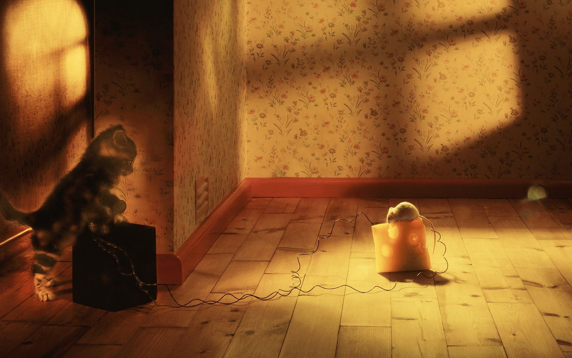 jeden kryty pokój dorosły światło dziewczyna portret nago kobieta nosić ściany