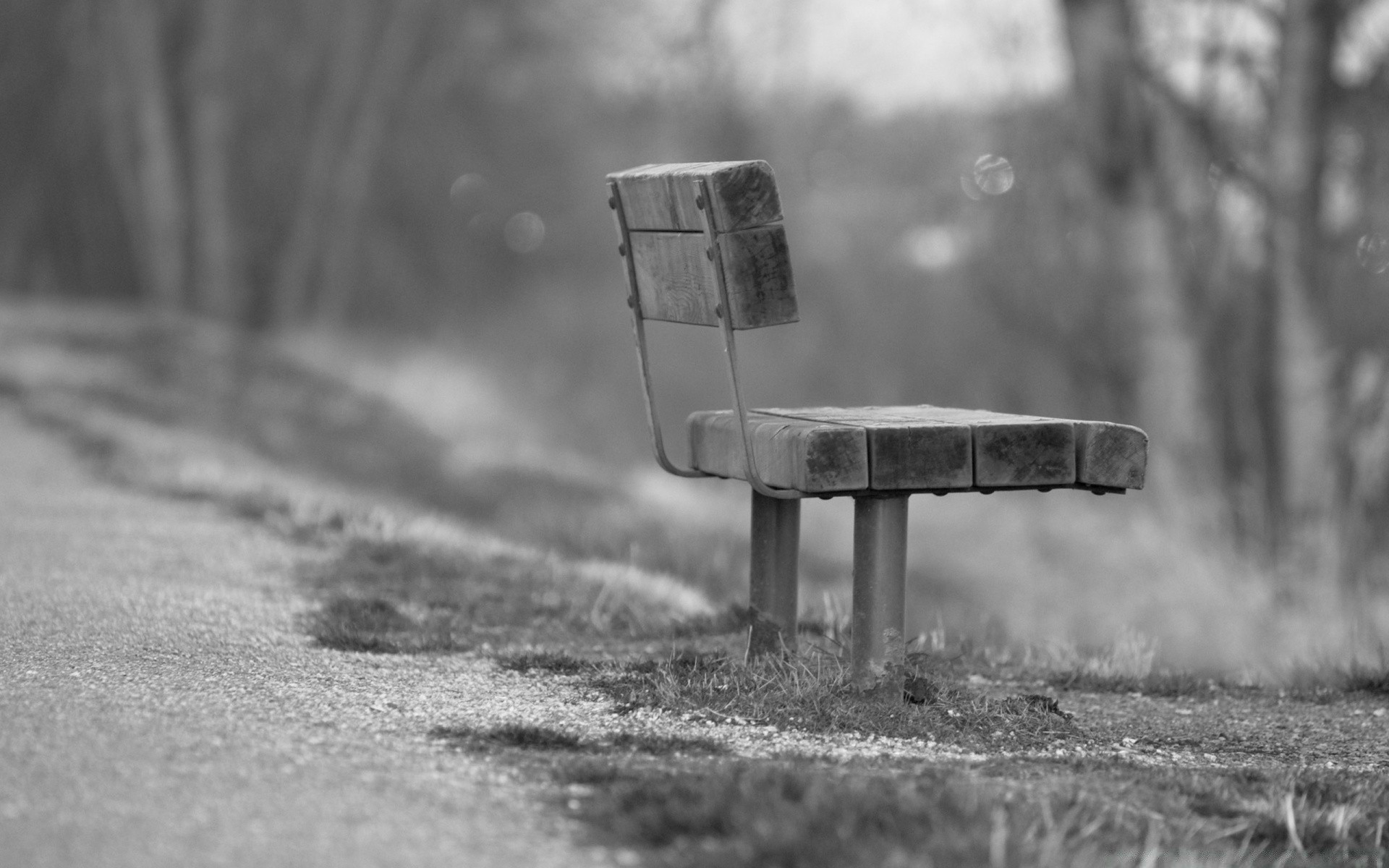 czarny biały monochromatyczny ulica drewno droga ławka pusta instrukcja pojedynczy park na zewnątrz drewno
