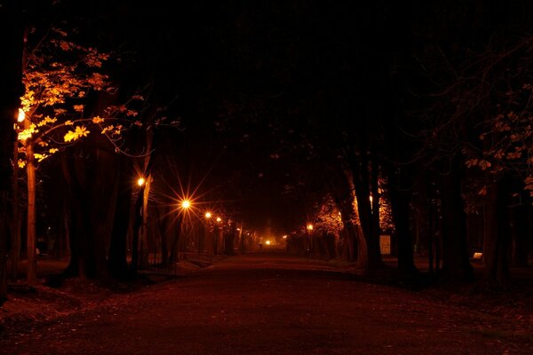 Samotna sylwetka w Dali Night Park