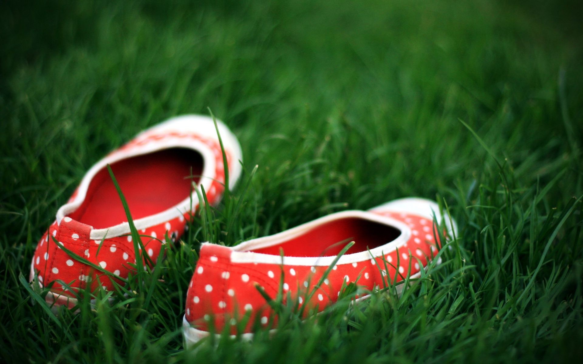 trawa lato pole skóra kolor trawnik rekreacja buty na zewnątrz dwa sianokosy para natura zbliżenie