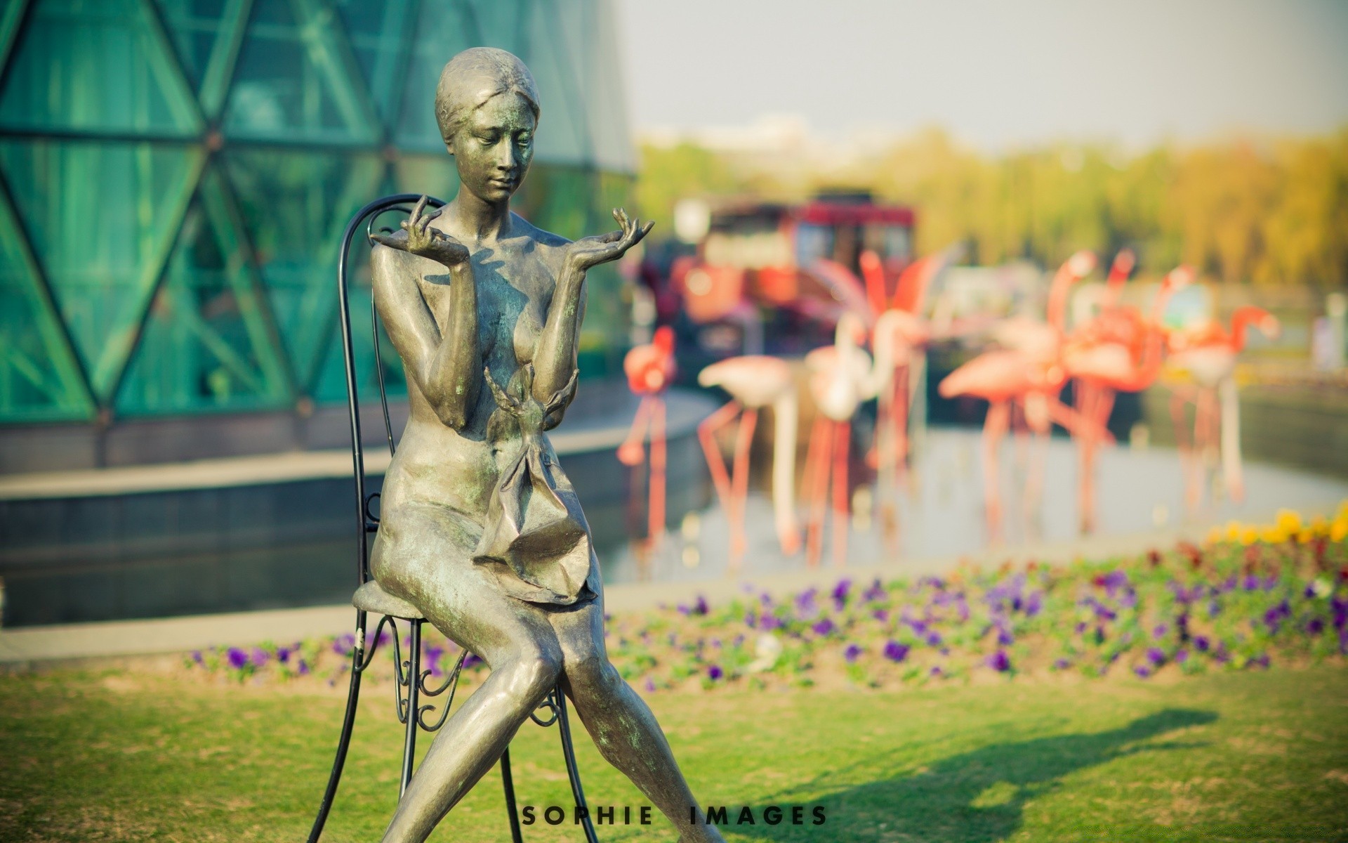 bokeh dorosły na zewnątrz mężczyzna kobieta