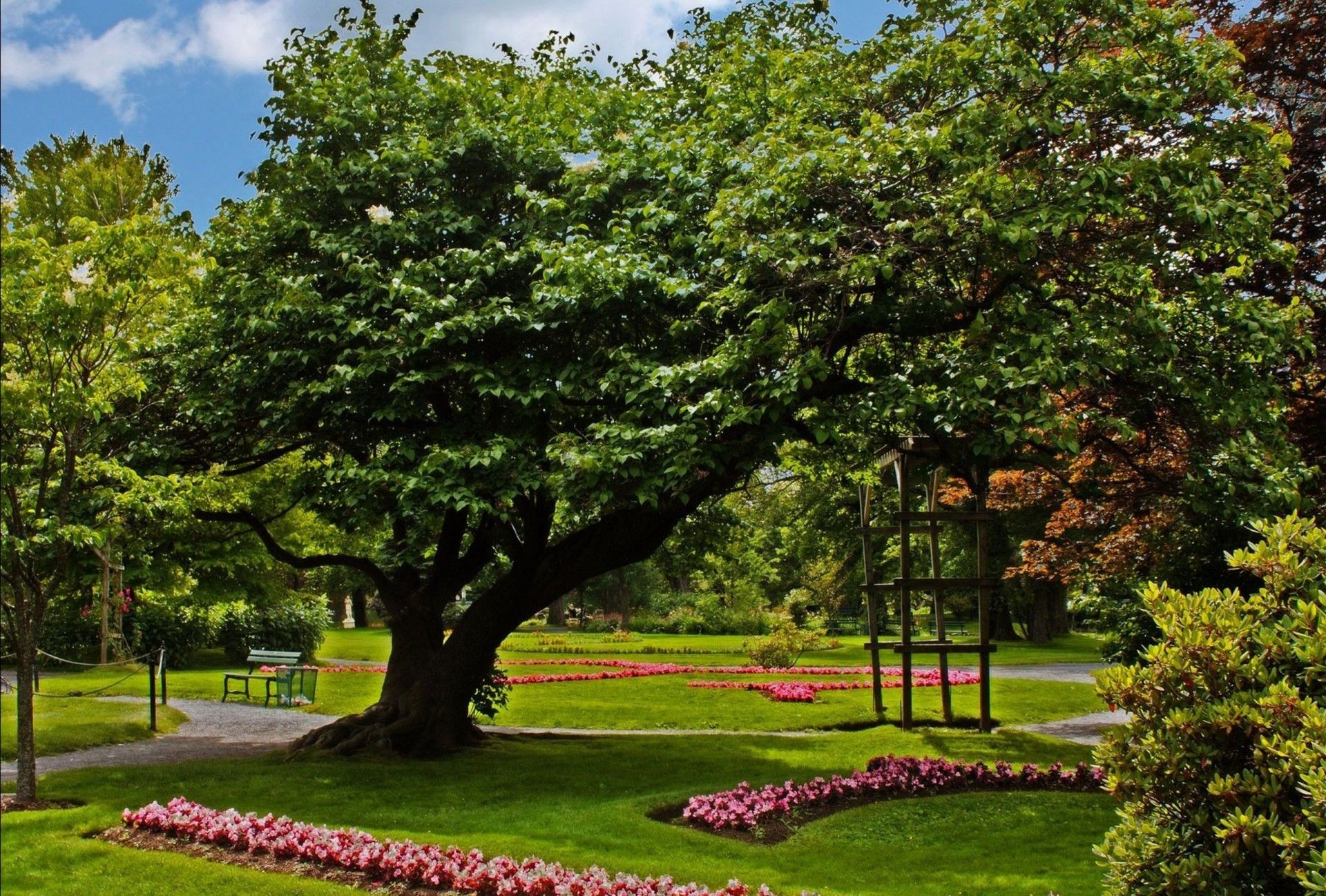 parki drzewo ogród liść park natura krajobraz trawa na zewnątrz trawnik kwiat lato flora drewno ławka sezon środa bujny dobra pogoda sceniczny