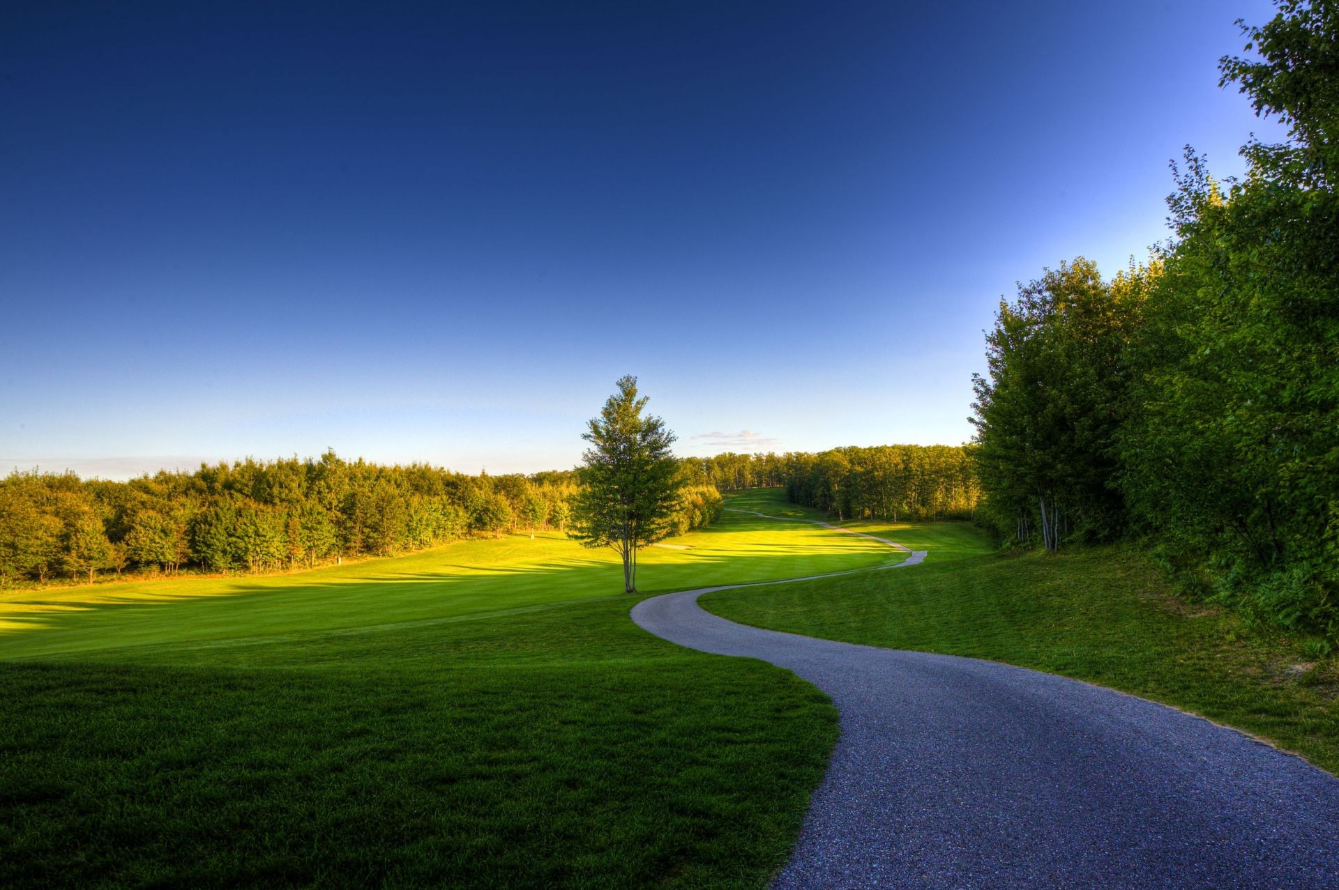 pola łąki i doliny trawa krajobraz droga drzewo na zewnątrz golf natura wieś niebo przewodnik sianokosy