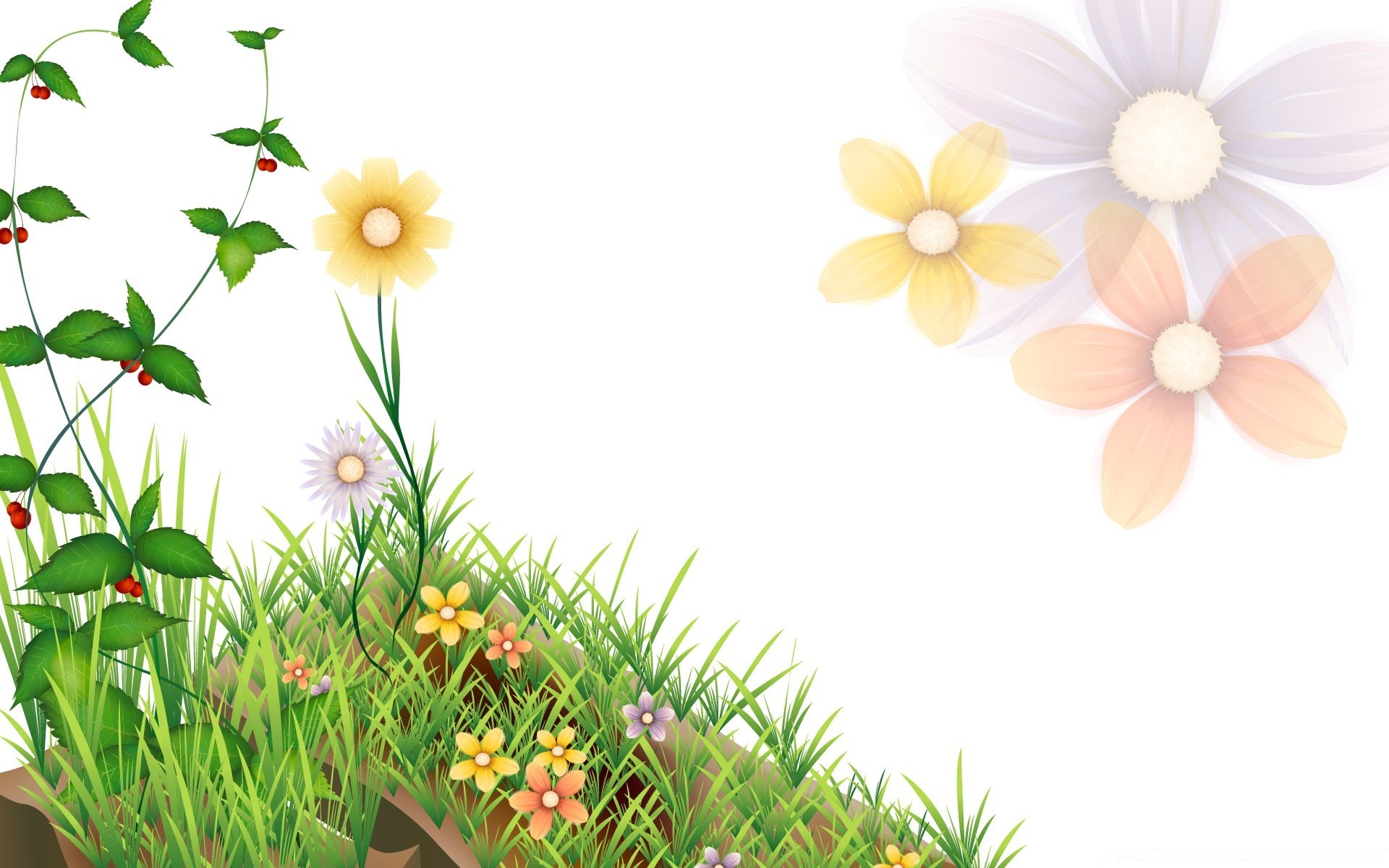 grafika wektorowa kwiat natura lato flora liść ogród kwiatowy płatek bluming trawa kolor jasny pulpit słońce piękny wzrost dobra pogoda
