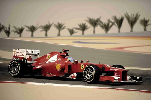 Alonso Alonso ferrari Ferrari Bahrajn