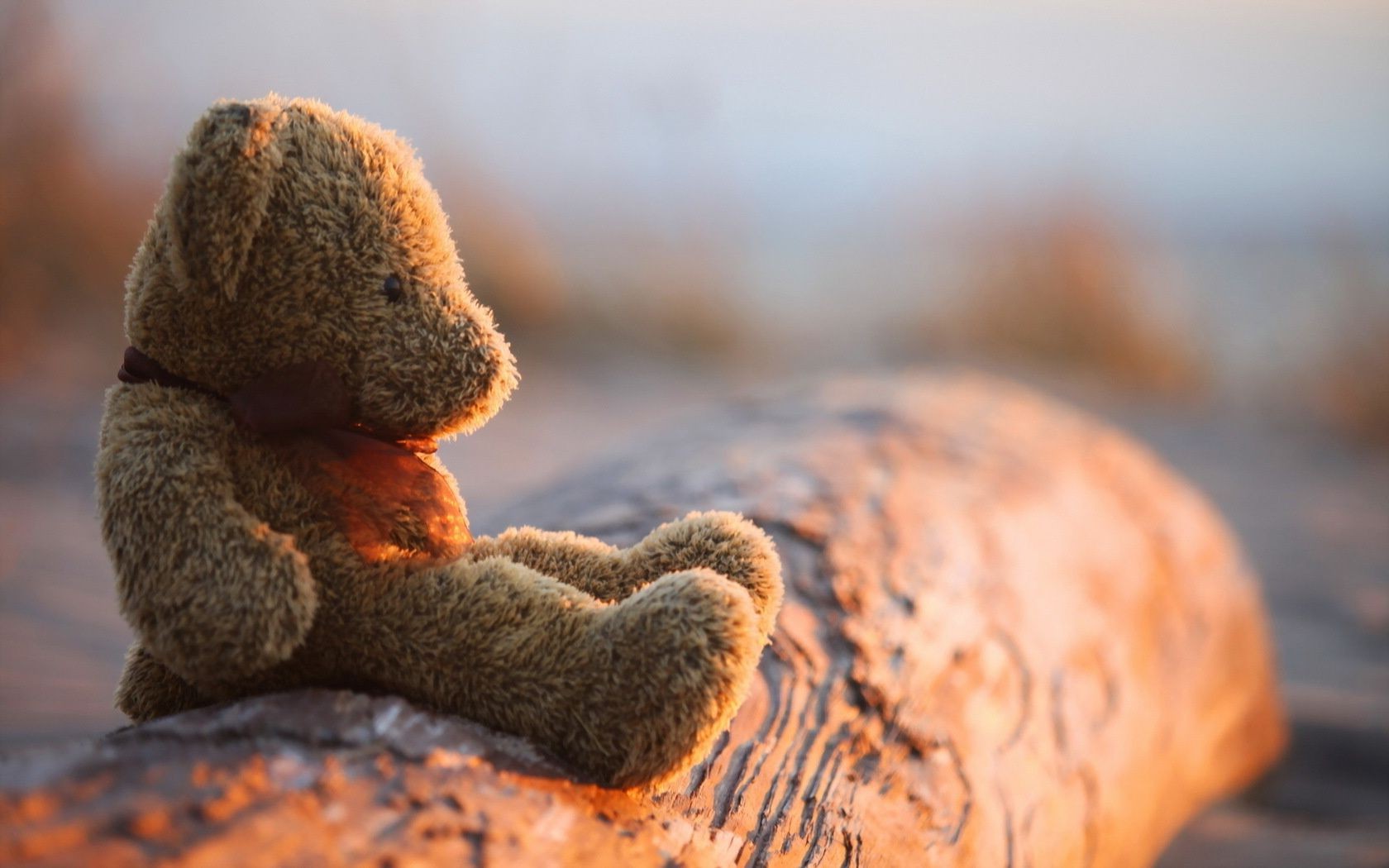 natura na zewnątrz jedzenie