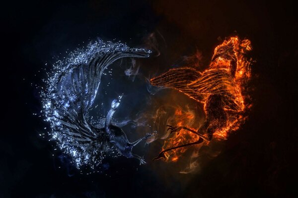 Yin i Yang w swojej walce