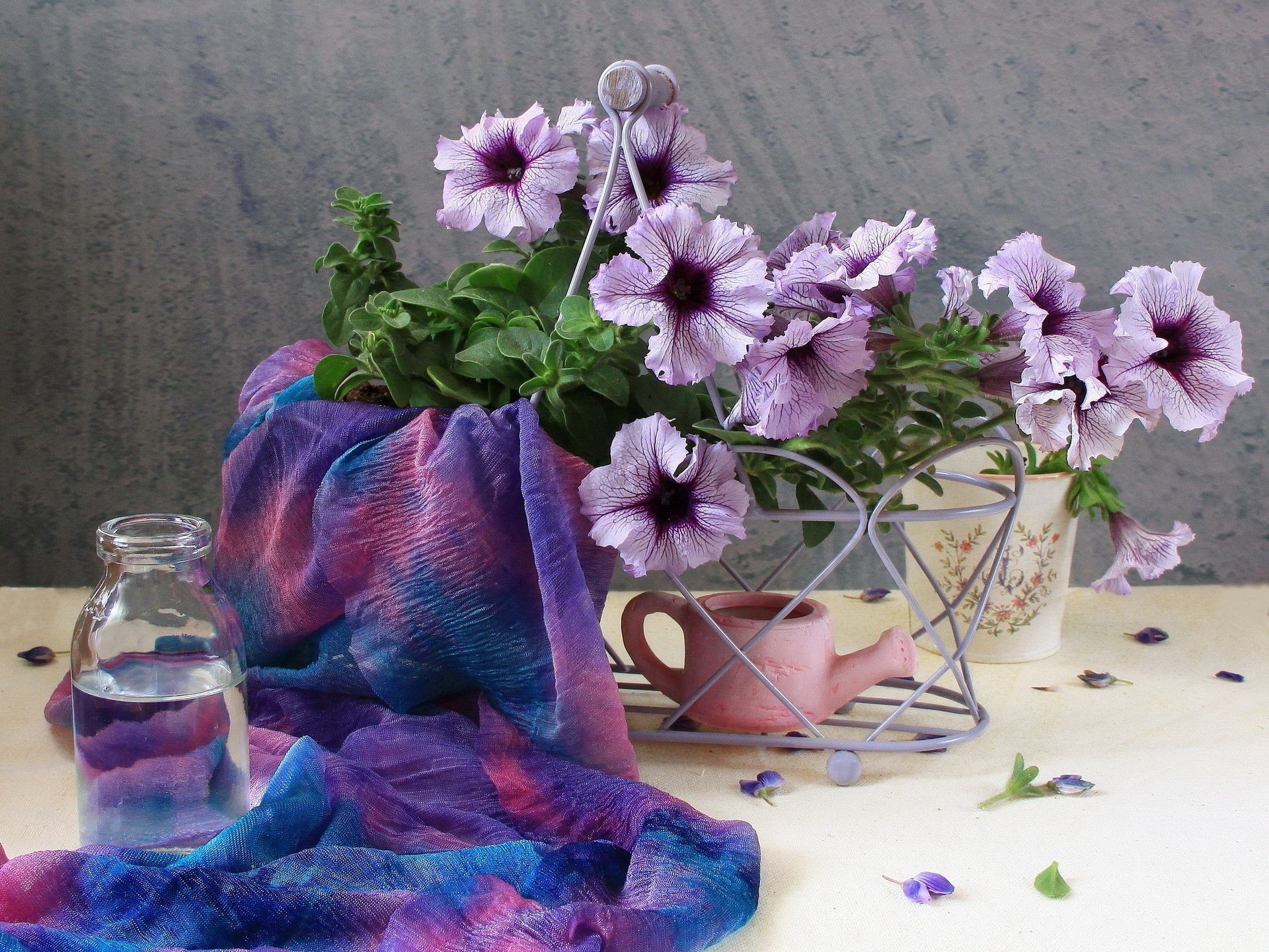 kwiaty kwiat flora dekoracje kolor martwa natura wazon liść kwiatowy