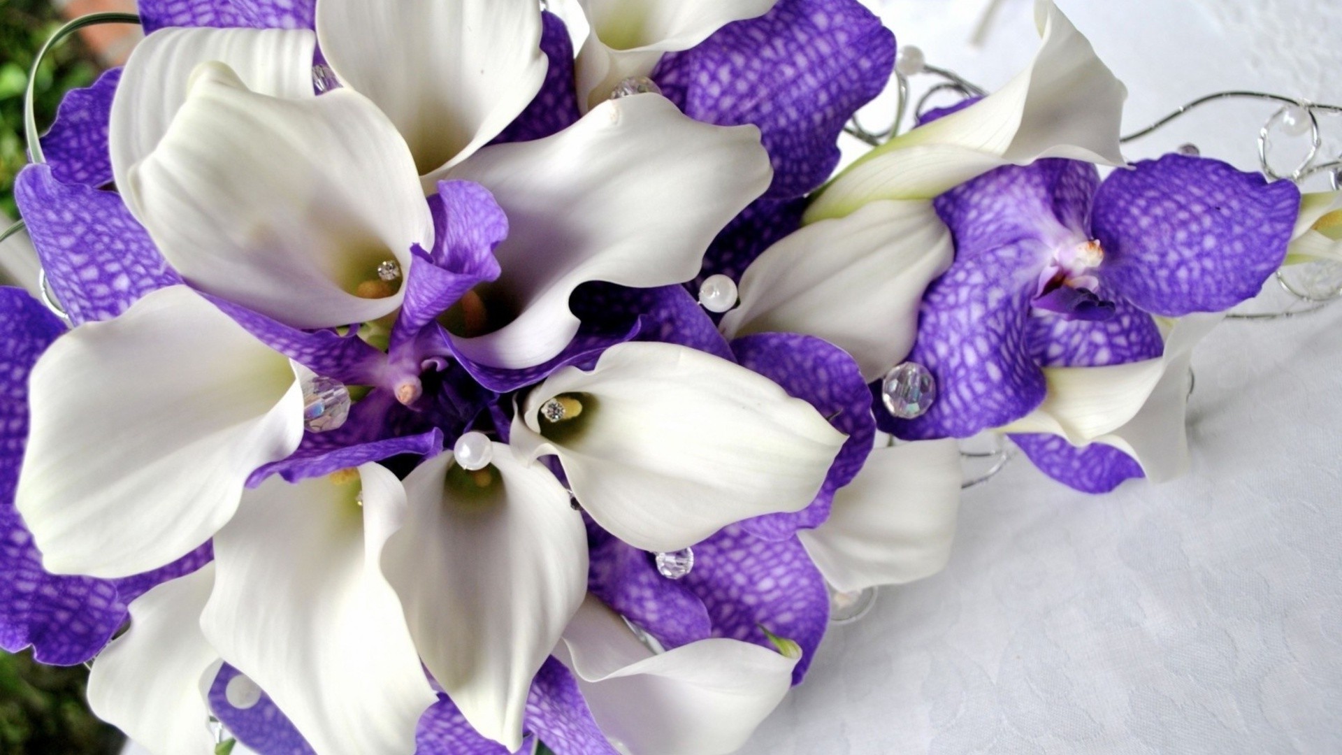kwiaty kwiat natura flora piękny kolor kwiatowy płatek dekoracja prezent bluming liść romantyczny ogród jasny violet pulpit lato zbliżenie fioletowy