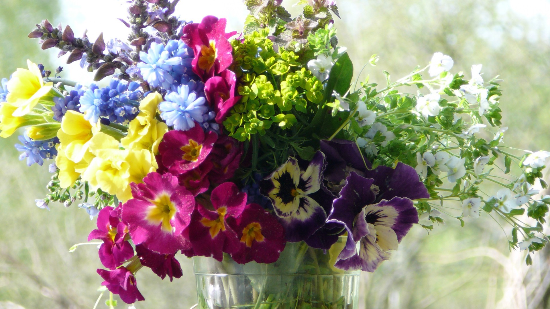 kwiaty bukiet flora natura kwiat ogród liść kwiatowy lato bluming wzrost płatek violet kolor sezon jasny bukiet pole zbliżenie dekoracje botaniczny