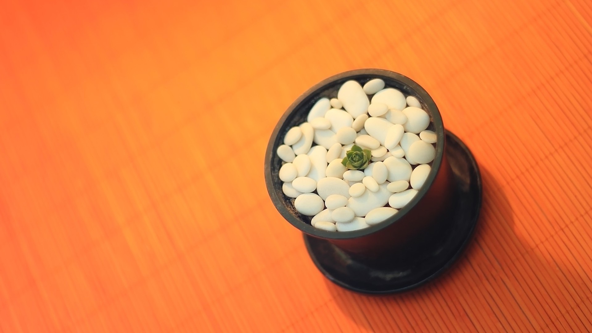 jedzenie medycyna pulpit zdrowie miska drewno martwa natura zdrowy