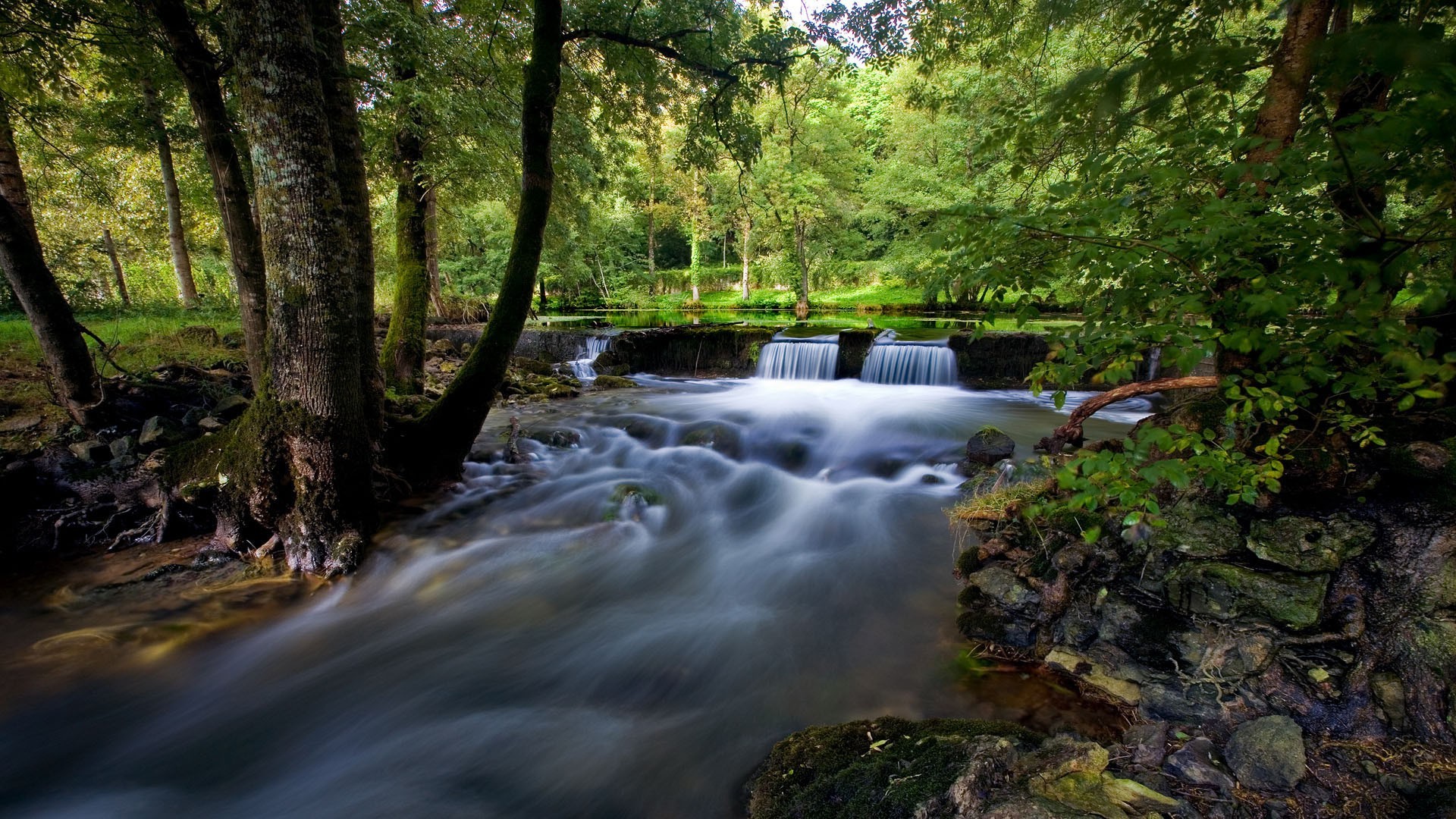 wodospady wody rzeka drewno wodospad strumień natura jesień liść krajobraz creek drzewo mech odkryty cascade park rapids wet rock fotografia