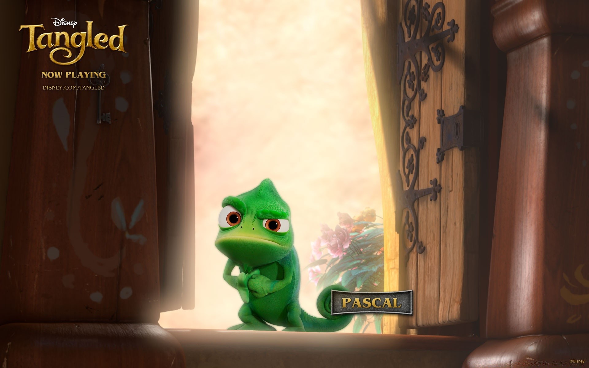 tangled drewna wewnątrz retro na zewnątrz pojedyncze
