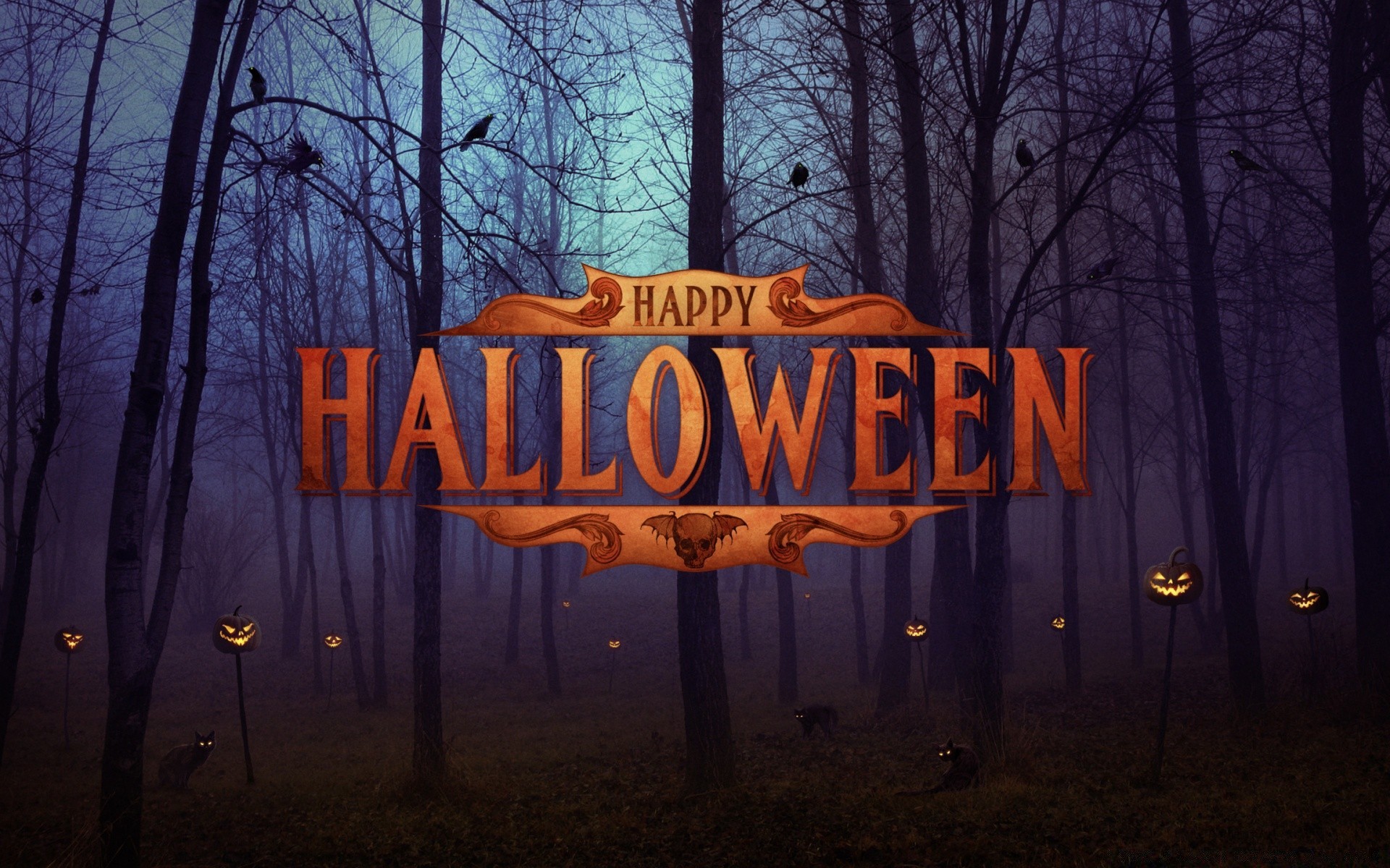 halloween świt drewna jesień krajobraz mgła wieczorem światło zmierzch