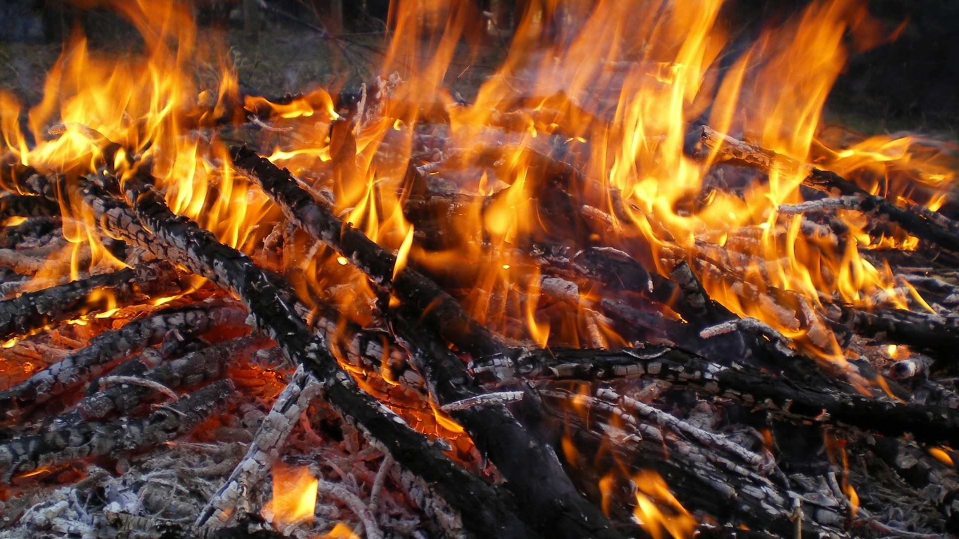 płomień ognisko ognisko ciepło węgiel kominek spalić węgiel drewno popiół gorący inferno ciepło dym blaze łatwopalny zapalić ogień temperatura obóz