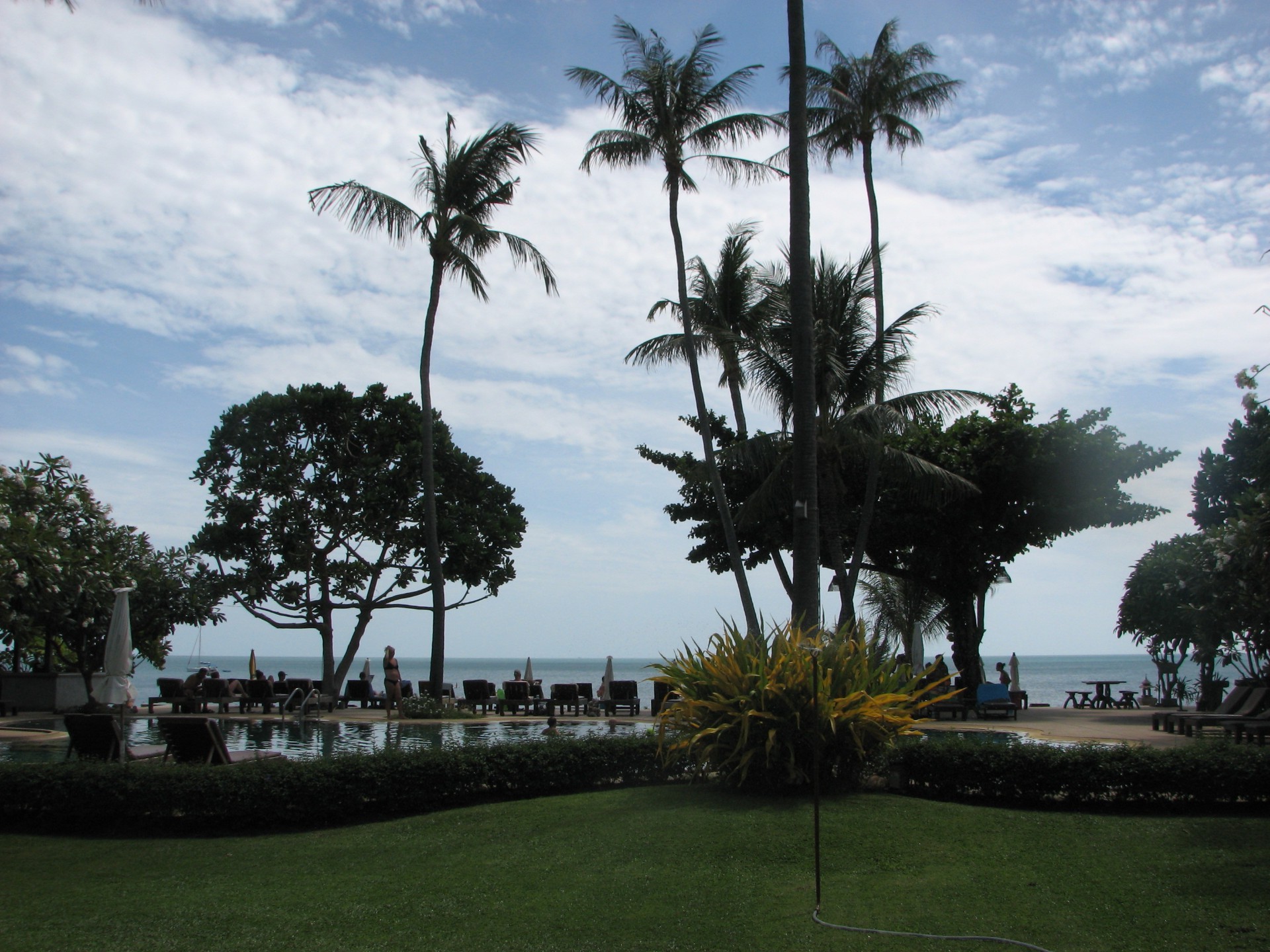 drzewo palm resort wakacje podróże tropikalny wypoczynek hotel wakacje woda światło dzienne wyspa plaża turystyka morze na świeżym powietrzu niebo luksusowy park