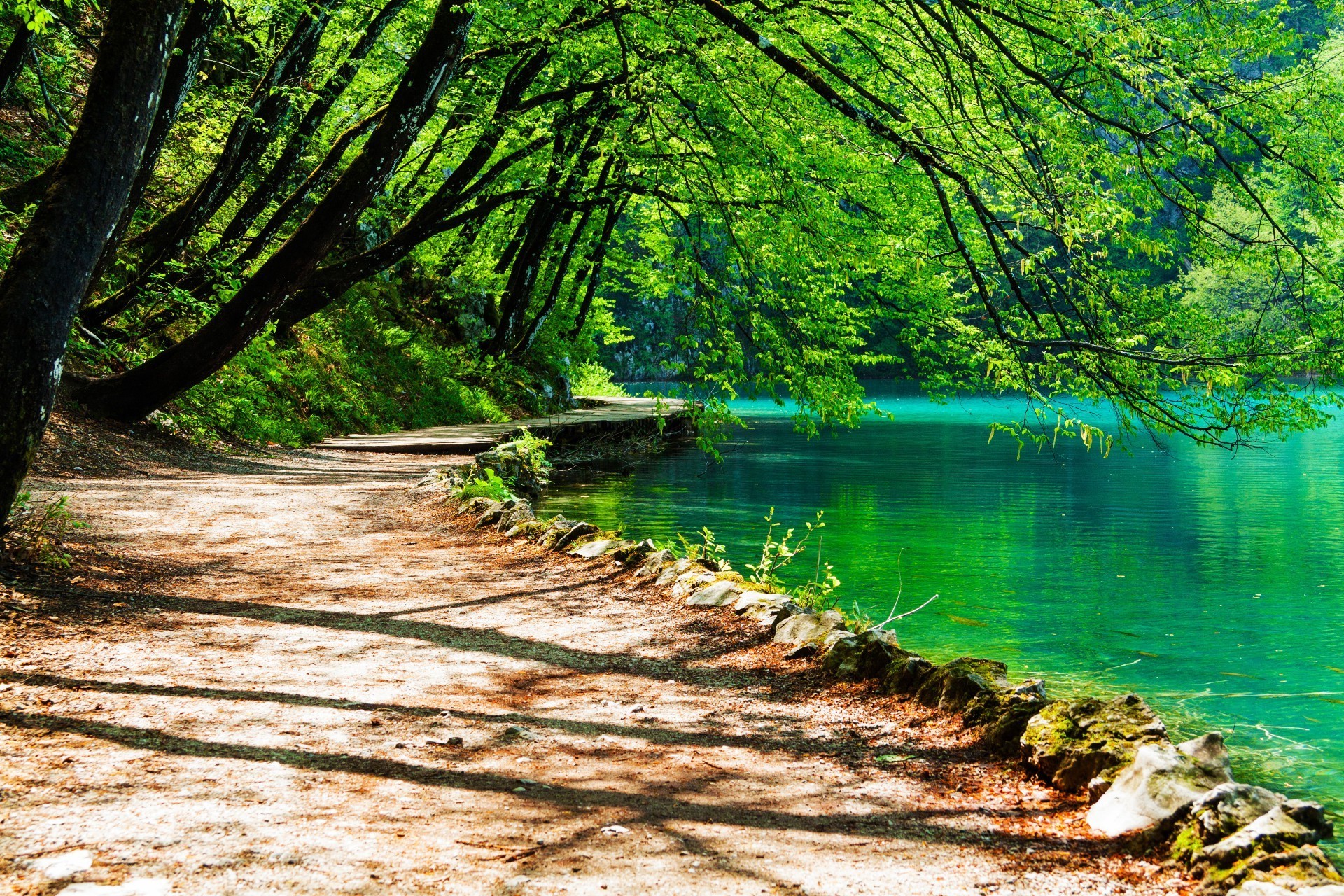 drewno natura woda drzewo krajobraz liść lato na zewnątrz malownicze dobra pogoda park sezon podróże krajobrazy chłód słońce bujna scena