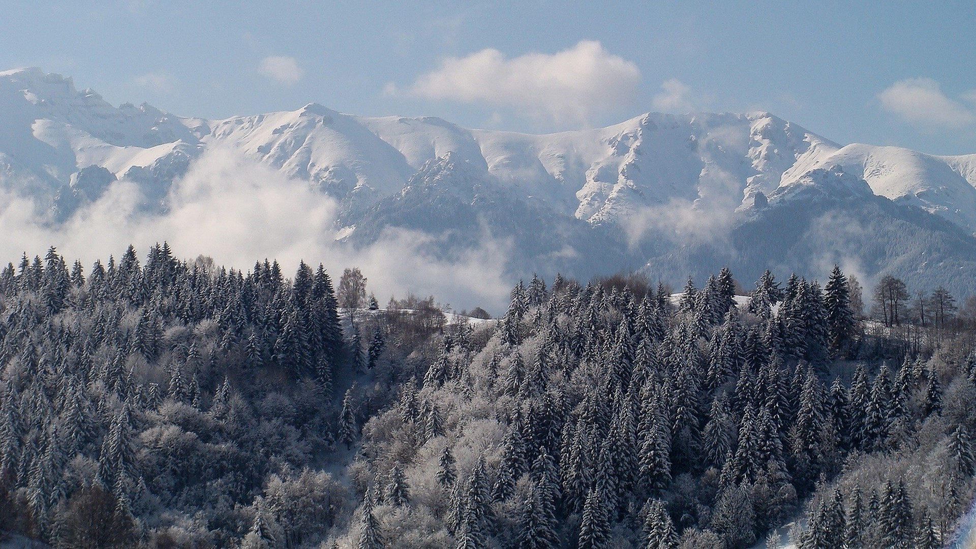 śnieg góry zima podróże lód drewno krajobraz zimne niebo na zewnątrz mgła natura