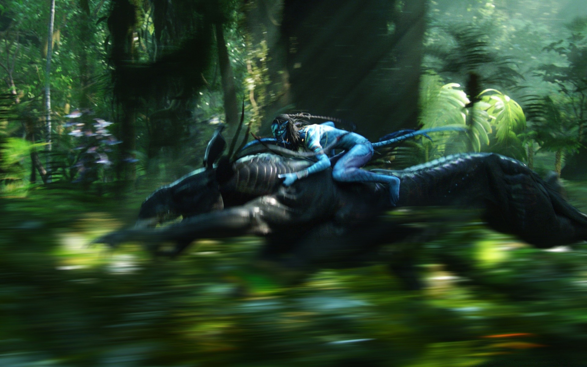 avatar rekreacja wody podwodny przyroda park