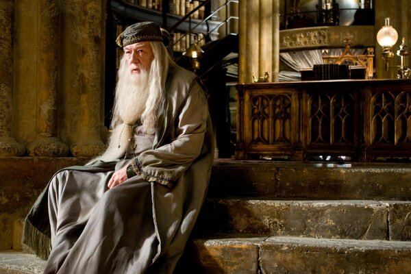 Mędrzec dyrektor Szkoły Harry Potter