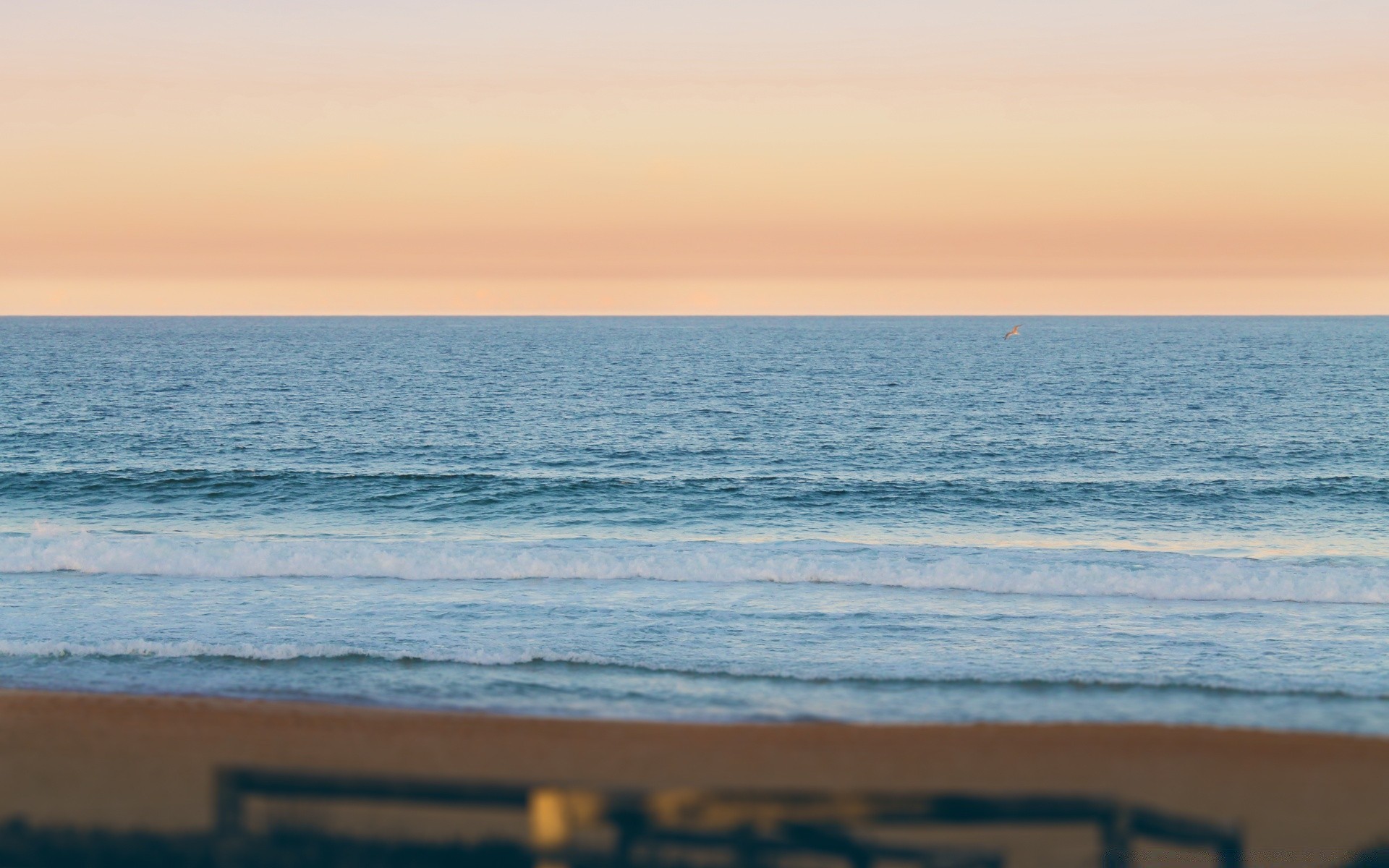 morze i ocean woda zachód słońca na zewnątrz świt plaża morze podróże zmierzch dobra pogoda surf słońce ocean niebo wieczór światło dzienne plesid piasek morze lato