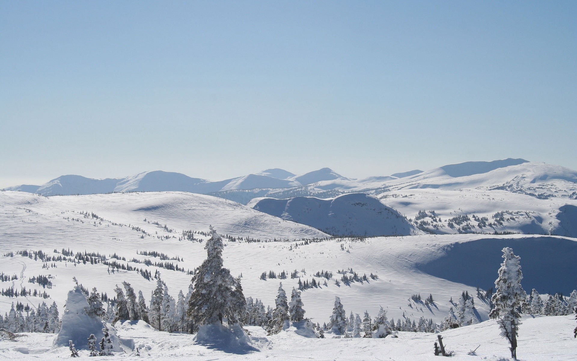 góry śnieg zima góry zimno ośrodek wzgórze szczyt górski malowniczy lód krajobraz śnieg drewno mrożone alpejskie podróże dolina drzewo mróz panorama