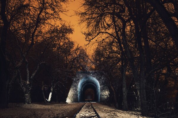 Zimowe drzewa i światło w tunelu