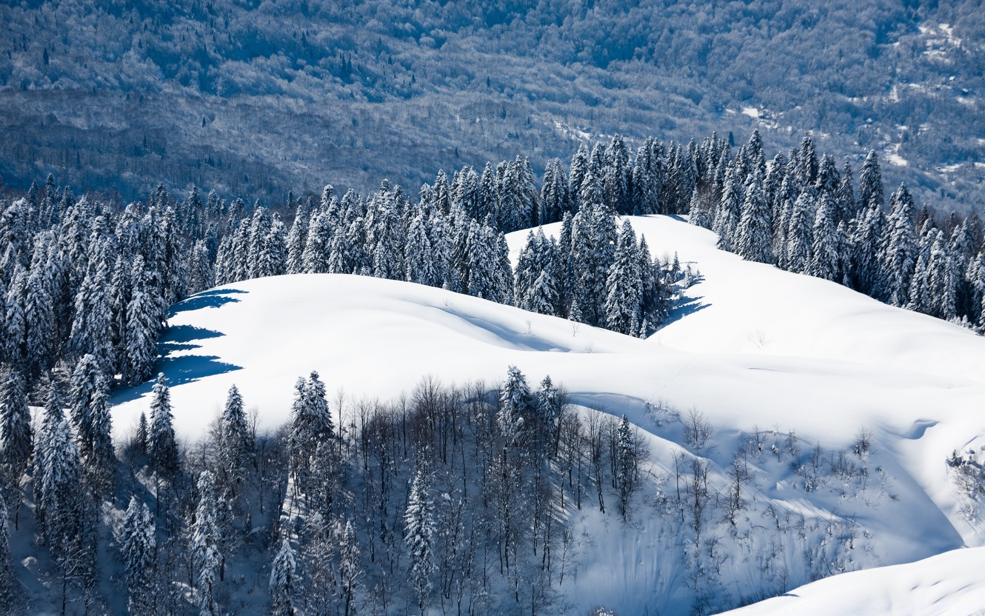 zima śnieg góry zimno sceniczny lód drewno krajobraz śnieg mróz mrożone wzgórze ośrodek górski szczyt sezon pogoda alpejskie drzewo