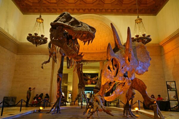 Dwie rzeźby dinozaurów w Muzeum